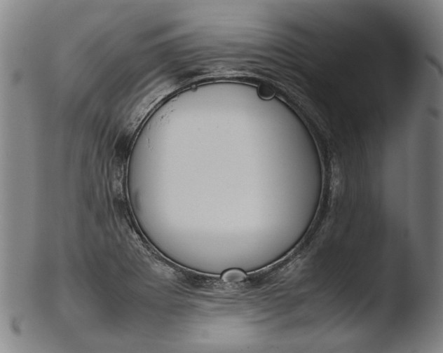 X0000103451273200809261808