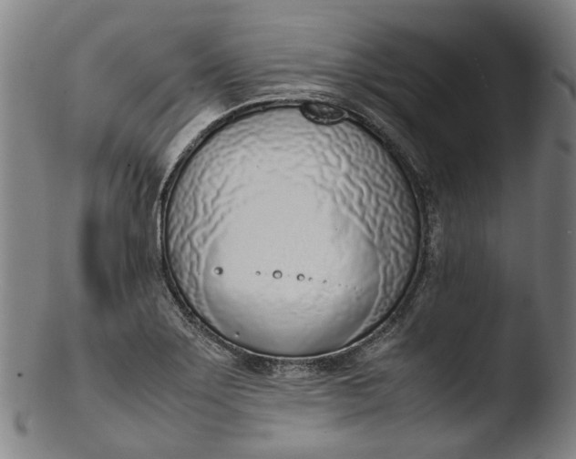 X0000103451275200809261808