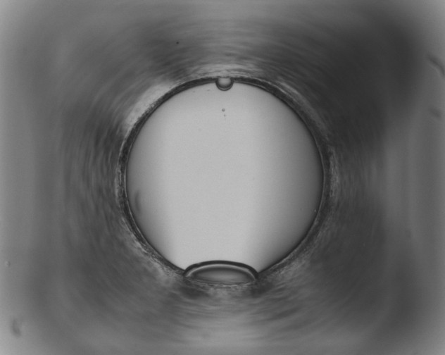 X0000103451277200809261808