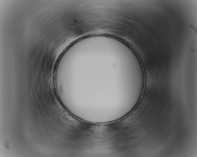 X0000103451278200809261808