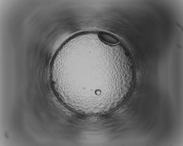 X0000103451279200809261808