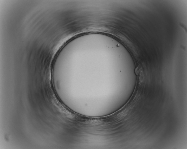 X0000103451280200809261808