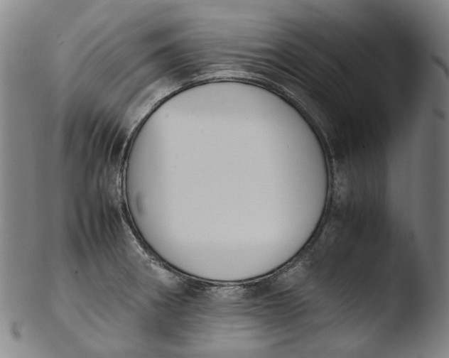 X0000103451282200809261808