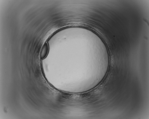 X0000103451283200809261808