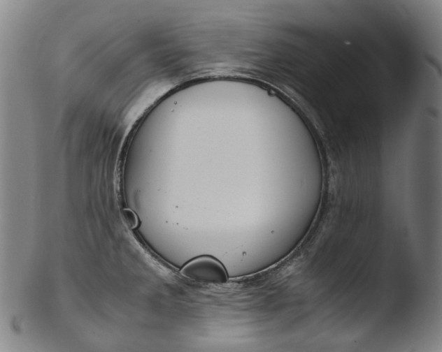 X0000103451285200809261808