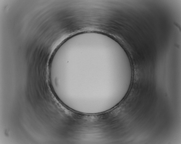 X0000103451286200809261808