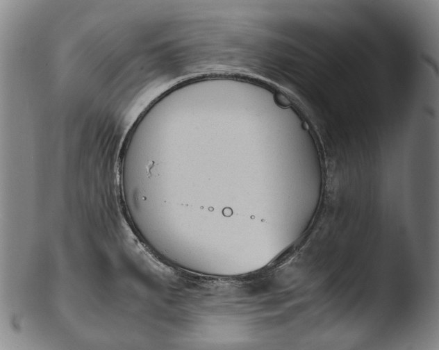 X0000103451287200809261808