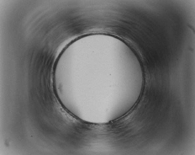 X0000103451288200809261808