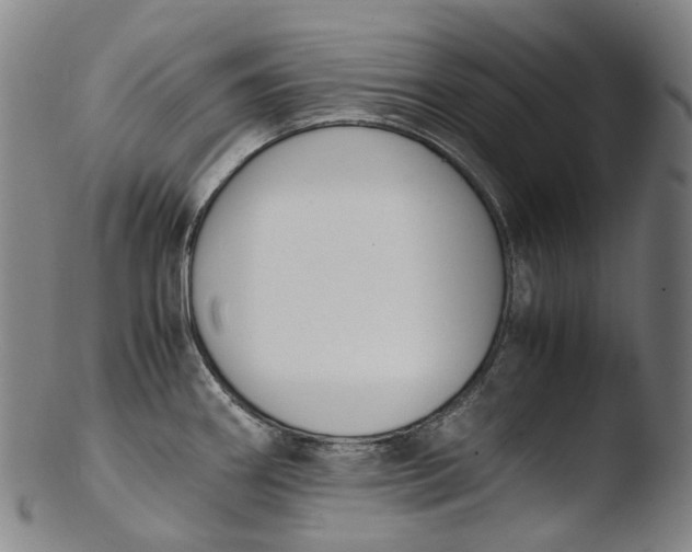 X0000103451290200809261808