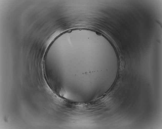 X0000103451291200809261808