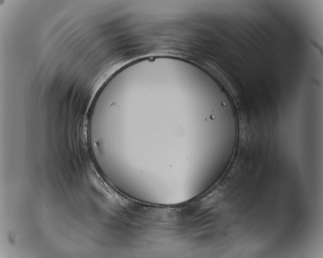 X0000103451292200809261808