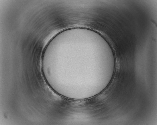 X0000103451294200809261808