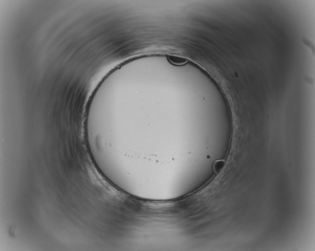 X0000103451296200809261808