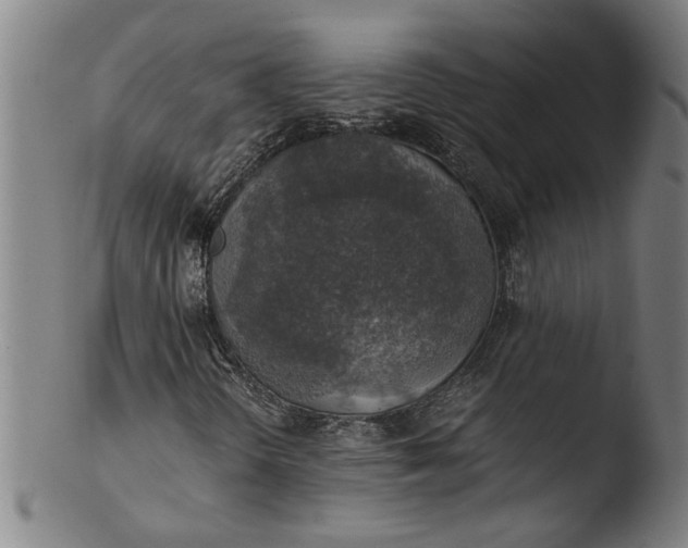 X0000103451298200809261807