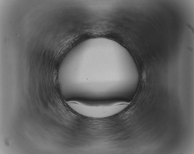 X0000103451300200809261807