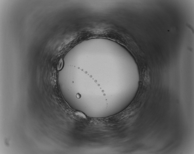 X0000103451301200809261807