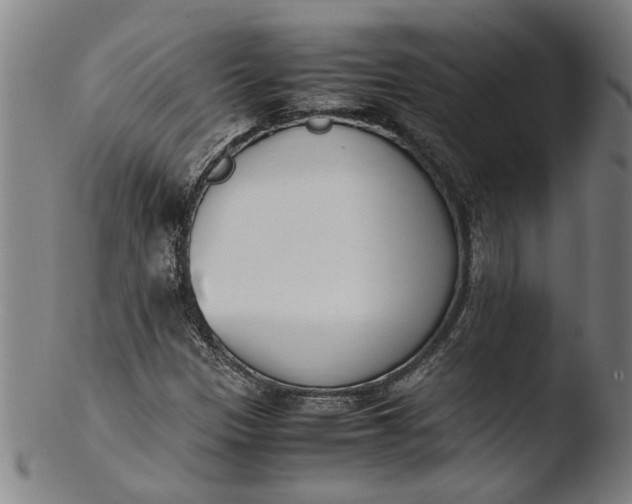 X0000103451305200809261807