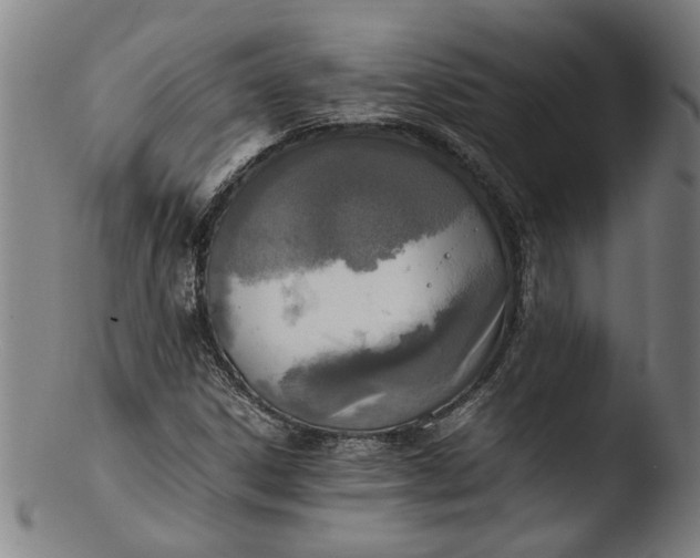 X0000103451306200809261807