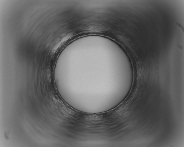 X0000103451307200809261807