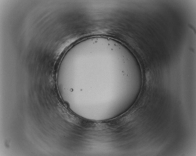 X0000103451308200809261807