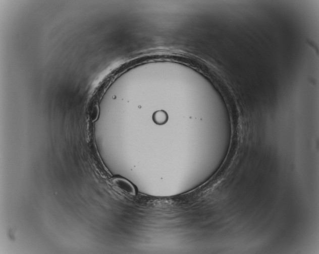 X0000103451310200809261807