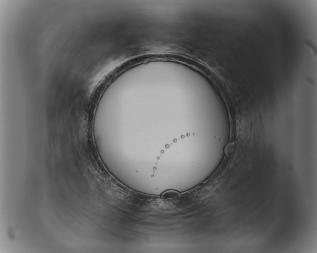 X0000103451311200809261807