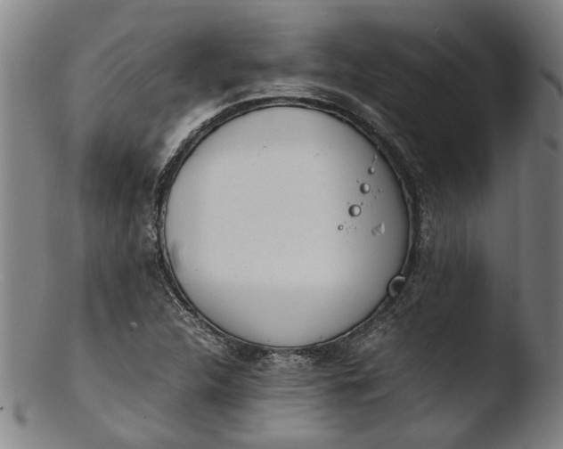 X0000103451312200809261807