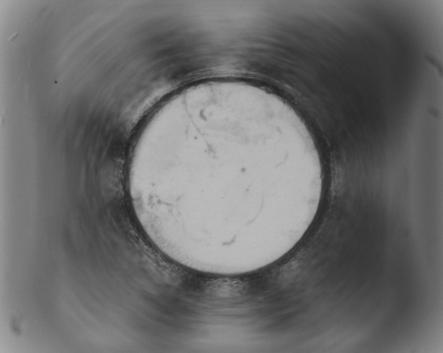 X0000103451314200809261807