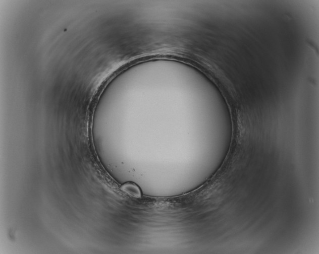 X0000103451316200809261807