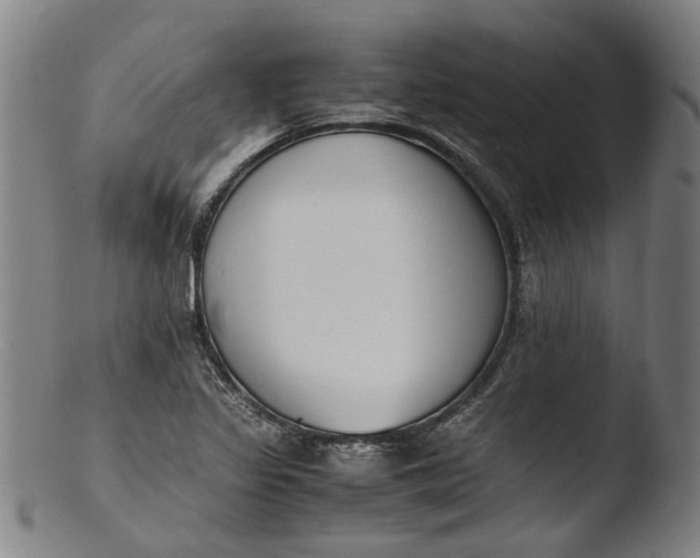 X0000103451317200809261807