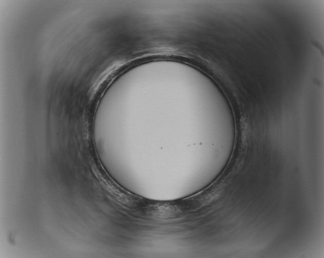 X0000103451318200809261807