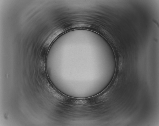 X0000103451321200809261808