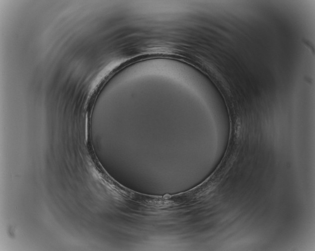 X0000103451323200809261808