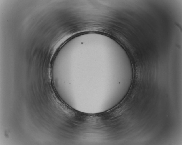 X0000103451324200809261808