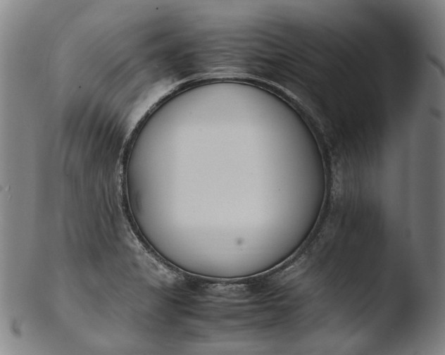 X0000103451325200809261808