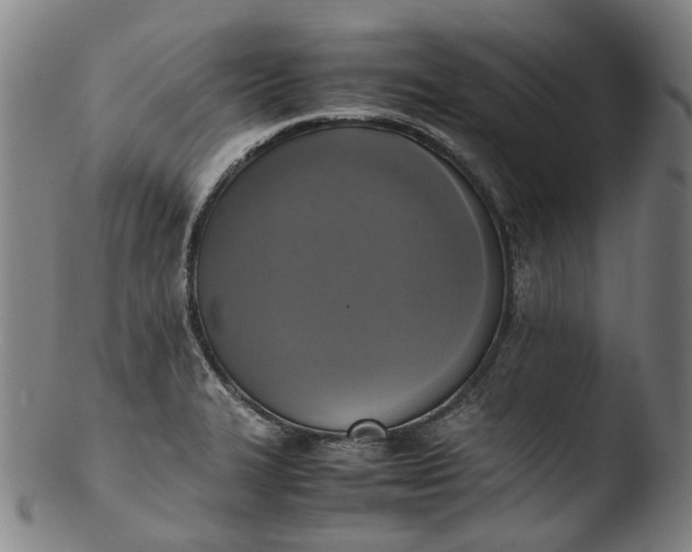 X0000103451327200809261808