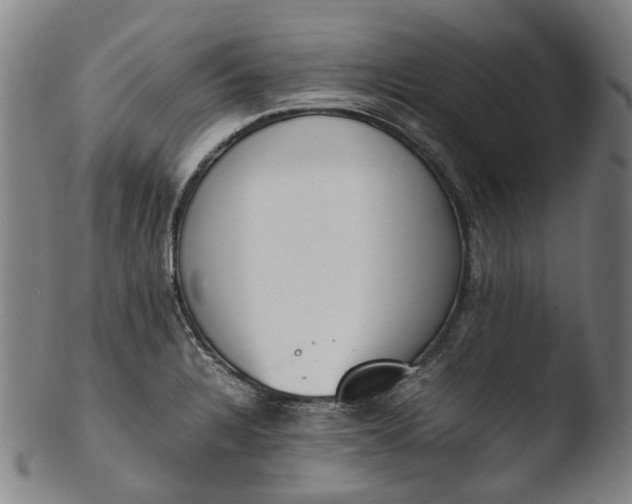 X0000103451328200809261808