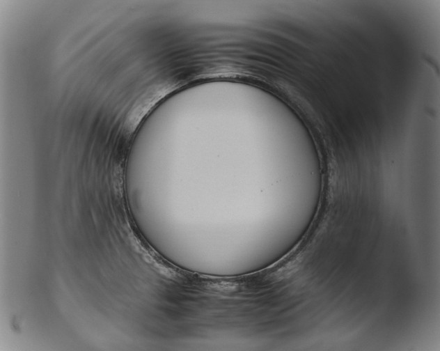 X0000103451329200809261808