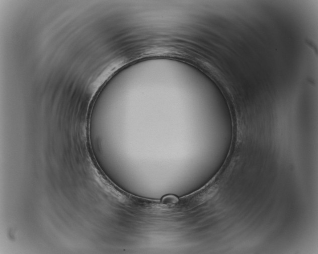 X0000103451330200809261808