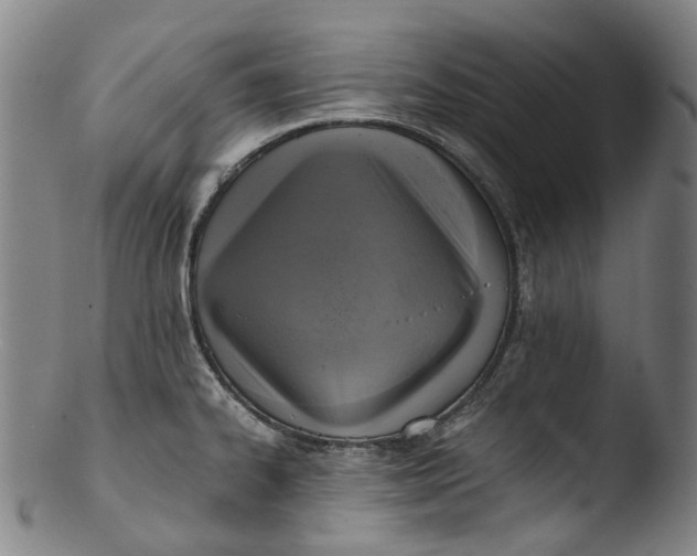 X0000103451334200809261808