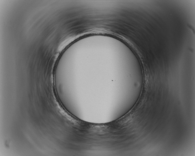 X0000103451335200809261808