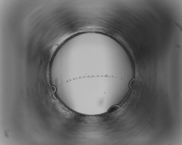 X0000103451336200809261808