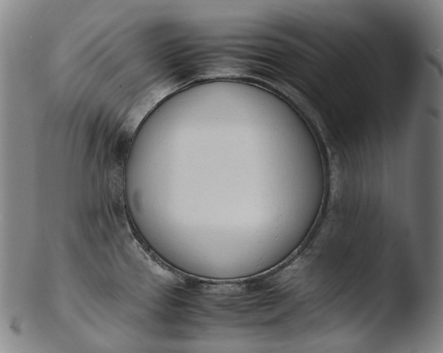 X0000103451337200809261808