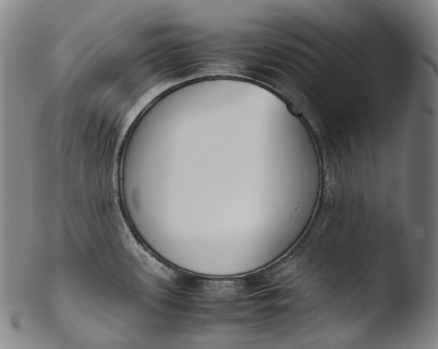 X0000103451339200809261808