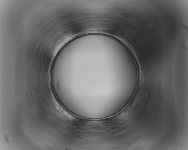 X0000103451341200809261808