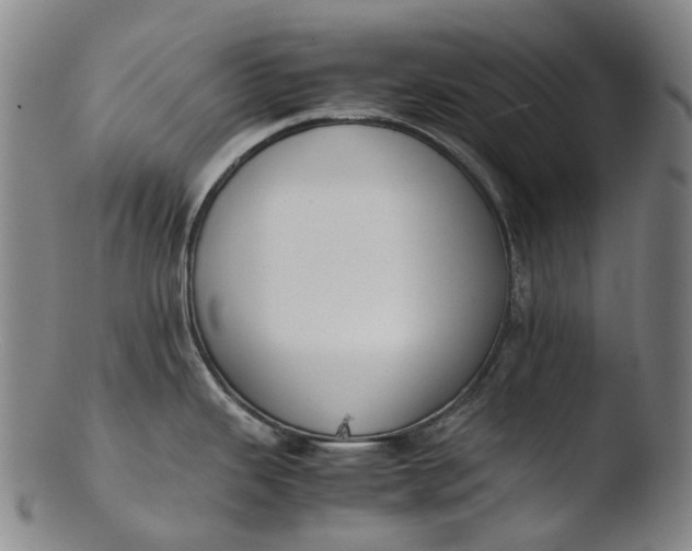 X0000103451343200809261808