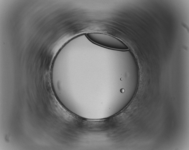 X0000103451344200809261808