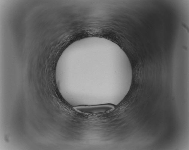 X0000103451345200809261807