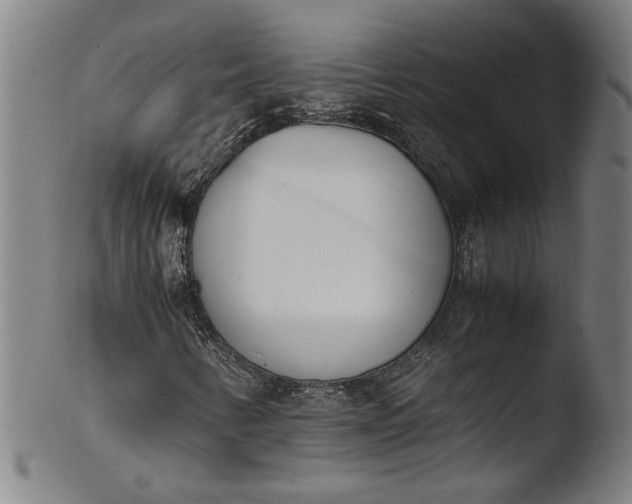 X0000103451346200809261807