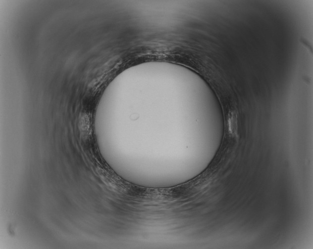 X0000103451347200809261807